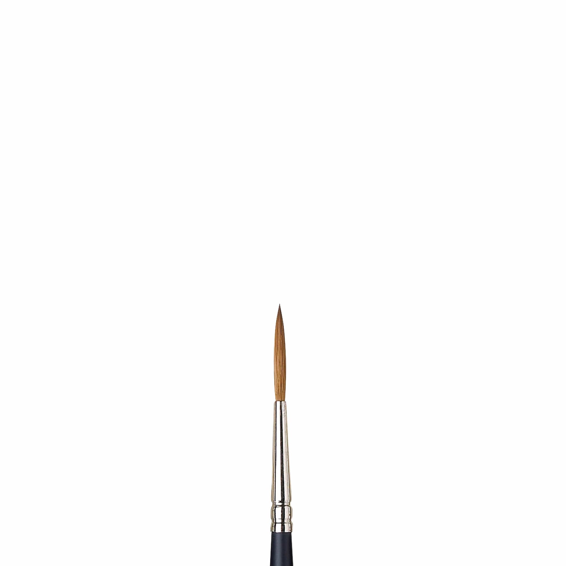 Artists Watercolor Sable Brushes Riggers
