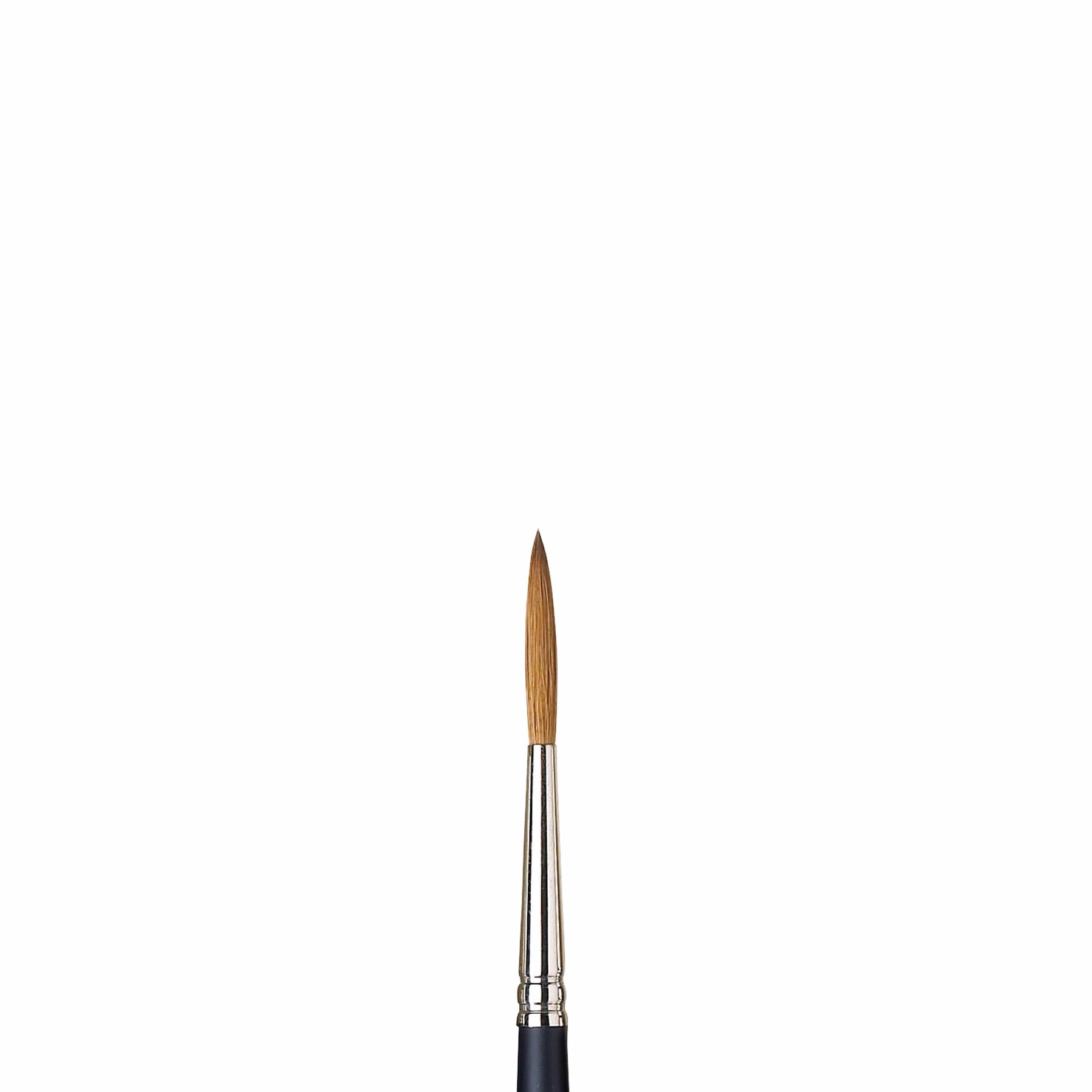Artists Watercolor Sable Brushes Riggers