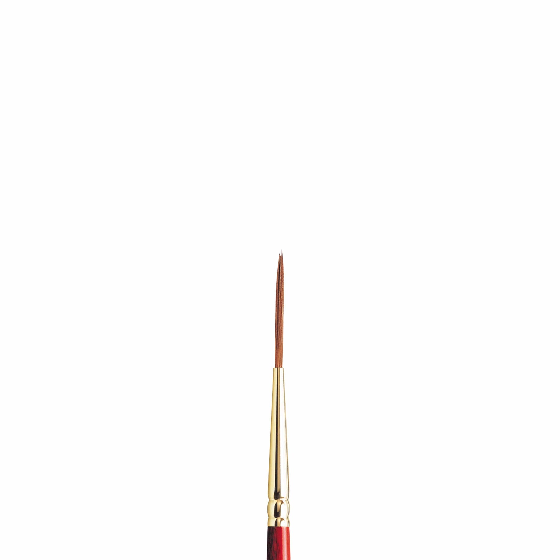 Sceptre Gold Series 303 Rounds