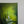 painting for sharon painting by Rinske Douna - abstract acrylic art