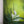 painting for sharon painting by Rinske Douna - abstract acrylic art