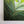 painting for sharon painting by Rinske Douna - abstract acrylic art