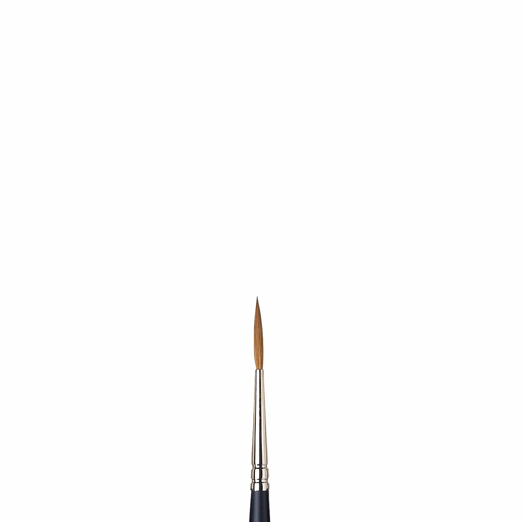 Artists Watercolor Sable Brushes Riggers