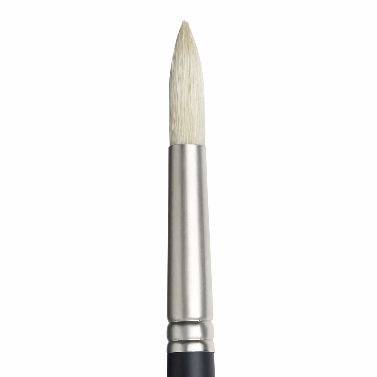 Artists Oil Brushes Rounds