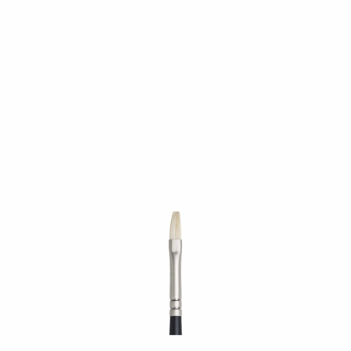 Artists Oil Brushes Flats