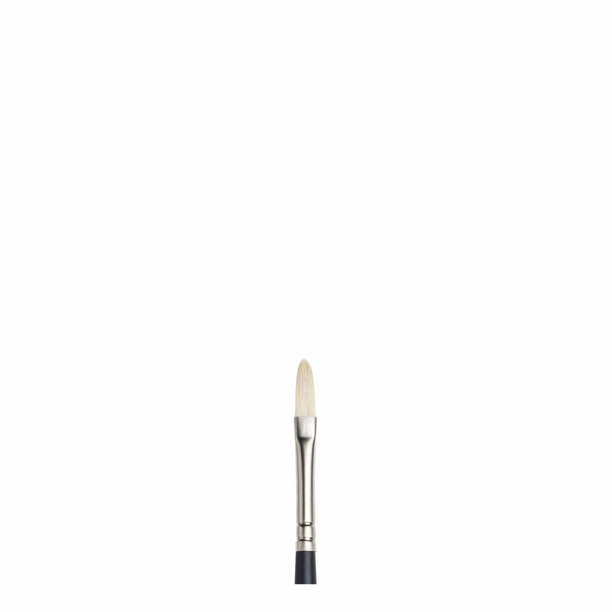 Artists Oil Brushes Filberts