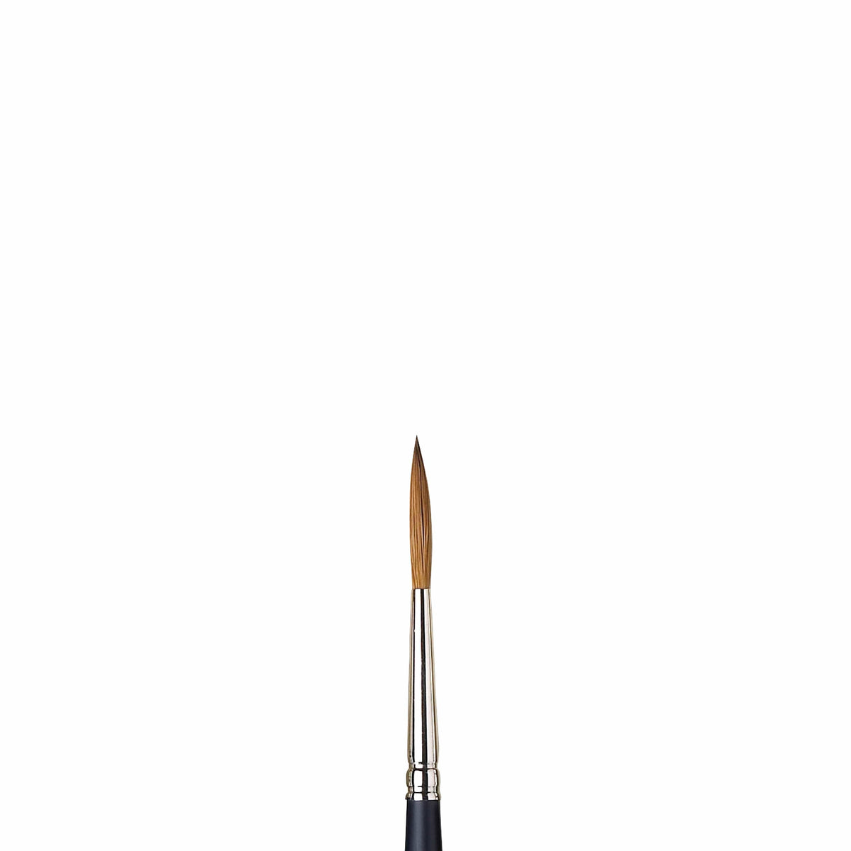 Artists Watercolor Sable Brushes Riggers