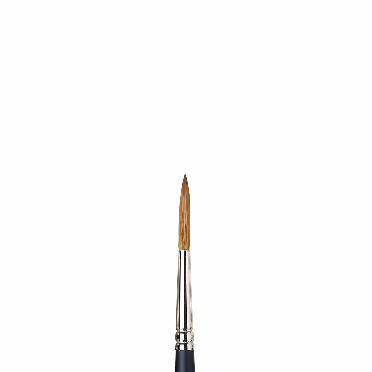 Artists Watercolor Sable Brushes Riggers