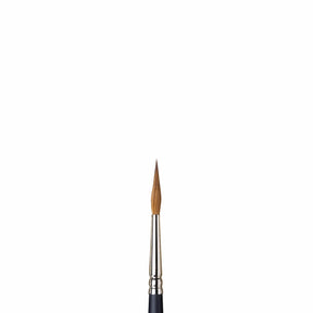 Artists Watercolor Sable Brushes Pointed Rounds