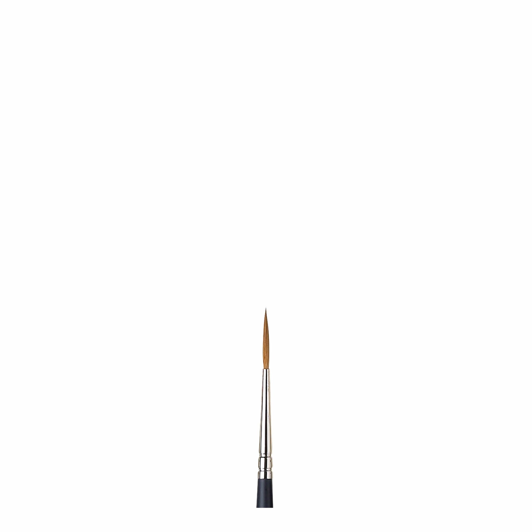 Artists Watercolor Sable Brushes Riggers
