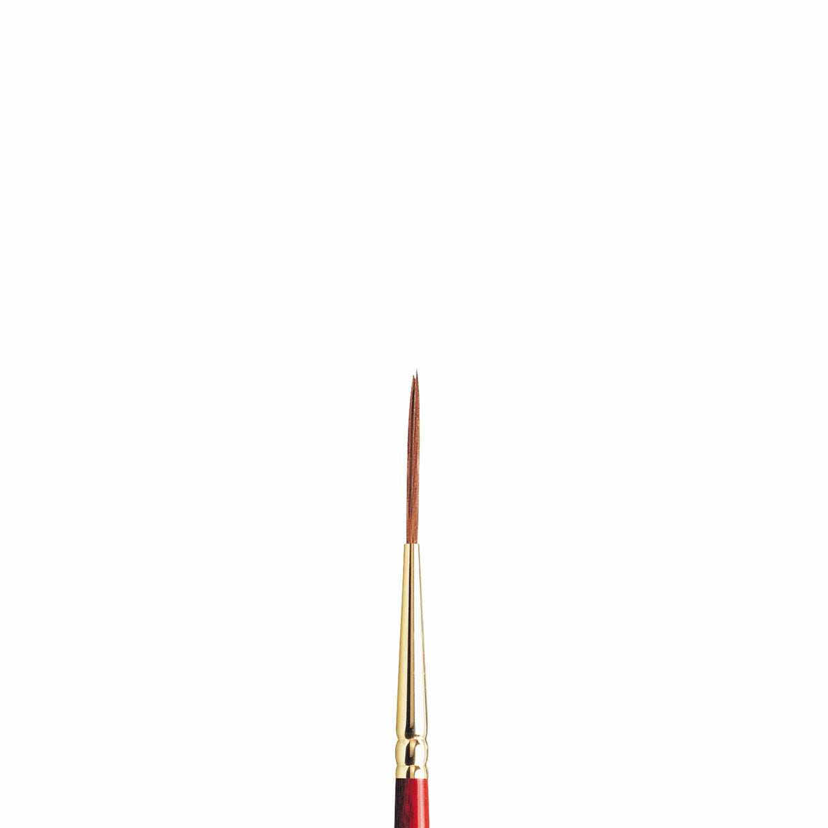 Sceptre Gold Series 303 Rounds