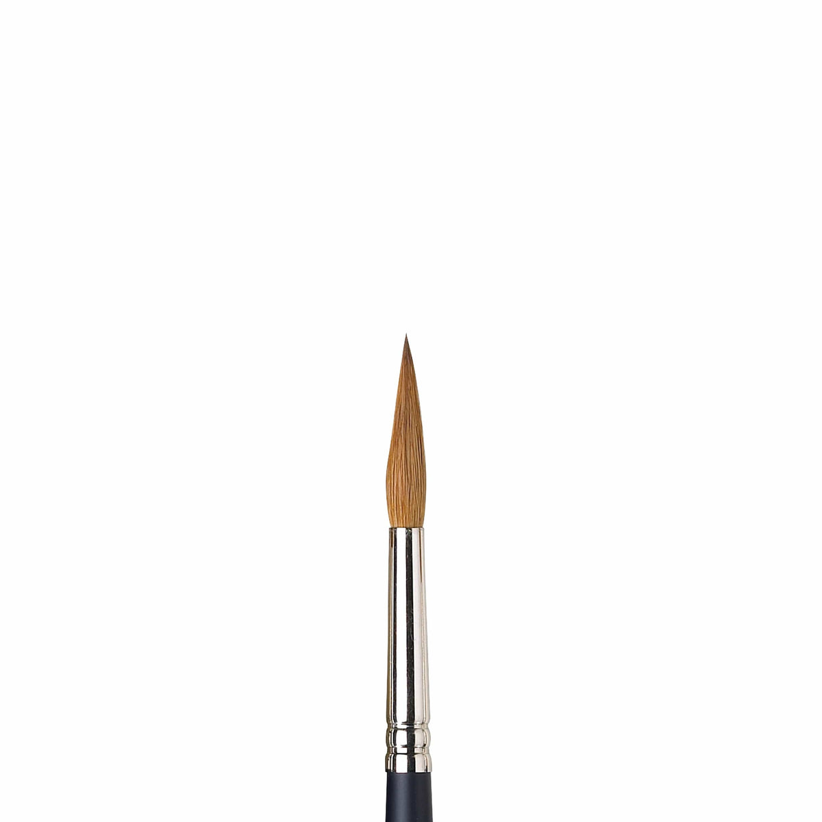 Artists Watercolor Sable Brushes Pointed Rounds