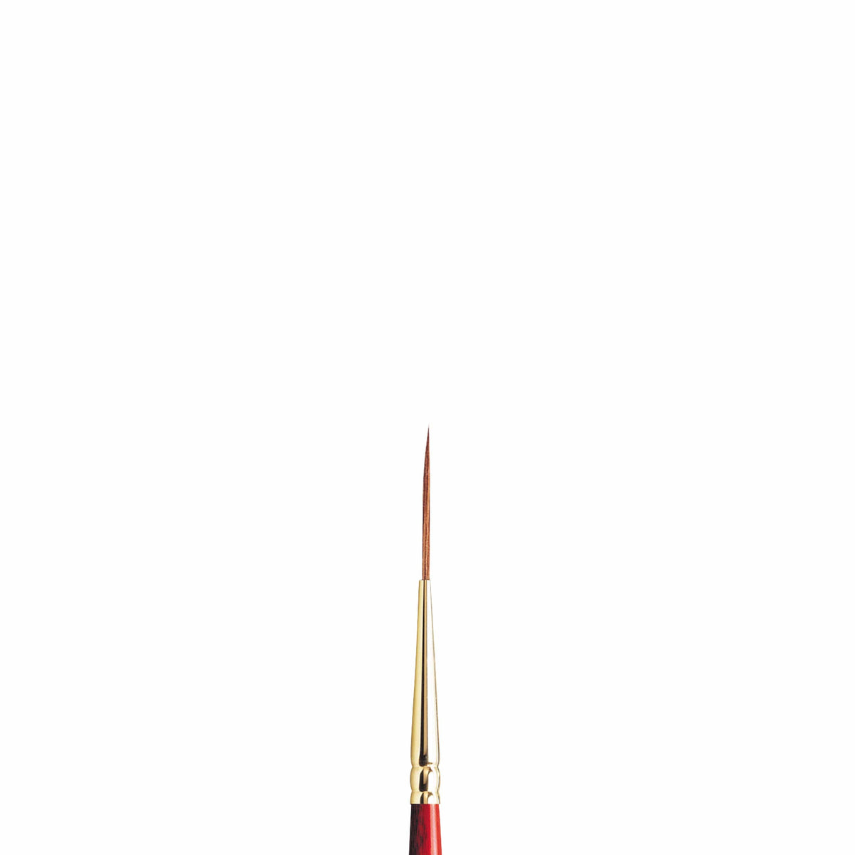 Sceptre Gold Series 303 Rounds