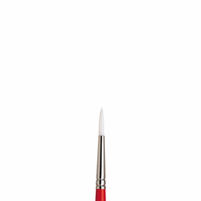 University Series Brushes Series 235 Rounds